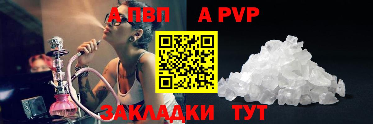 A PVP СК КРИС Абакан