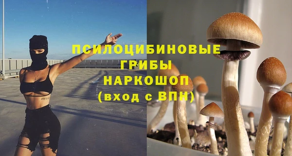 эйфоретик Алзамай