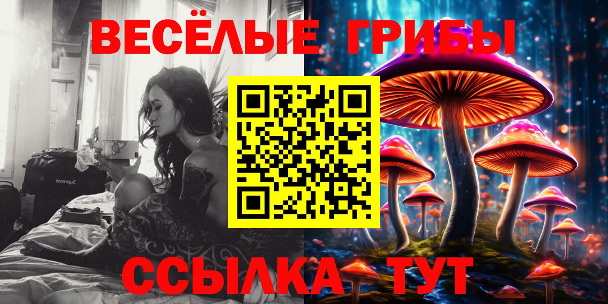 Галлюциногенные грибы Psilocybine cubensis Абакан