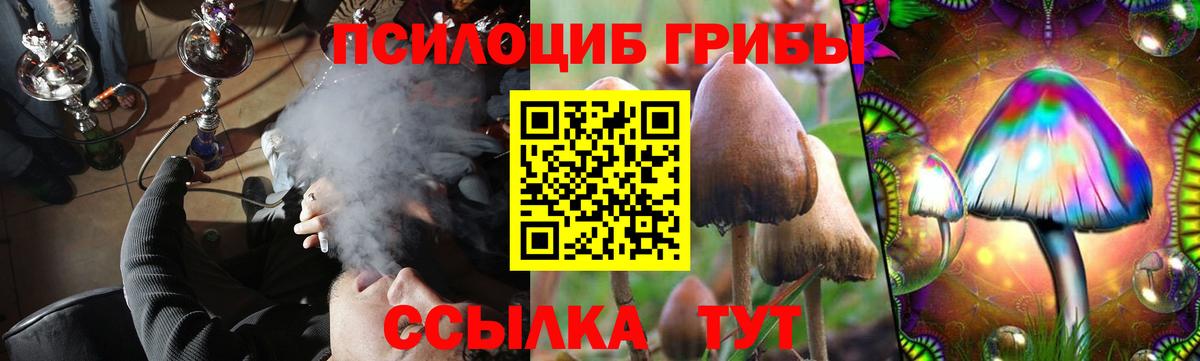 Абакан  даркнет сайт  Галлюциногенные грибы MAGIC MUSHROOMS  Вход с VPN  Галлюциногенные грибы мухоморы 