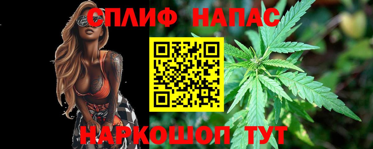 Бошки марихуана планчик  Вход с VPN  Бошки Шишки планчик  Абакан  Канабис индика  Канабис индика 